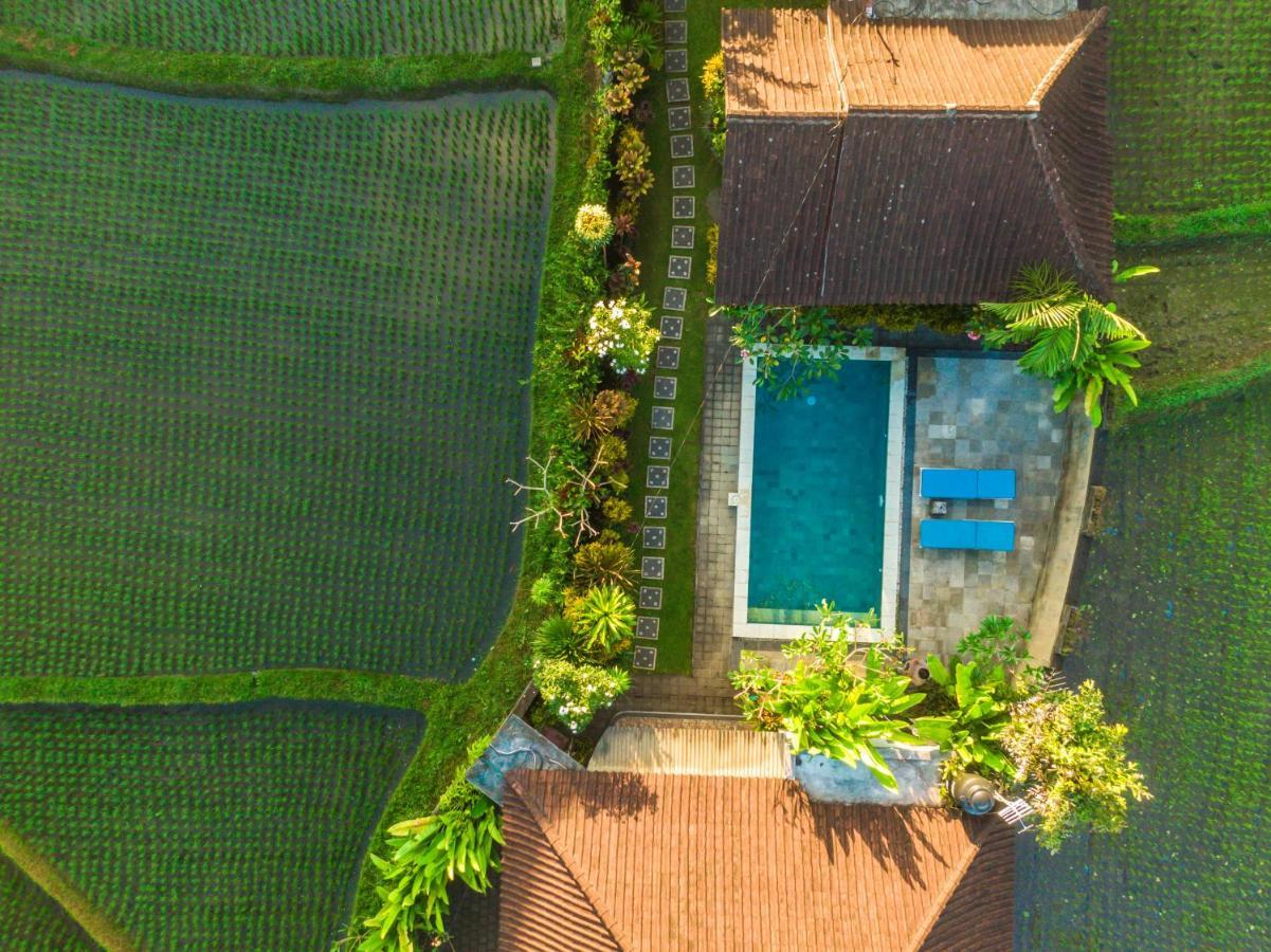 Ubud Glassy Villa By Pramana Villas 外观 照片